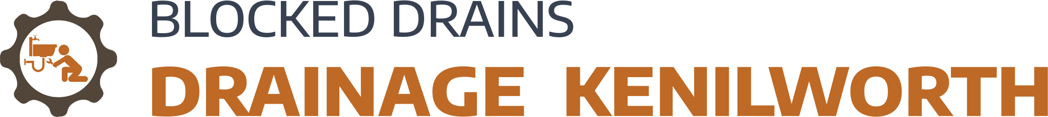 website logo